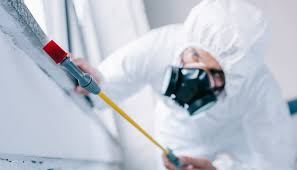 Best Commercial Pest Control  in Burlington, IA